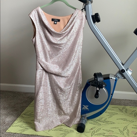 Scarlett Champagne Dress Size 8 - Picture 1 of 7